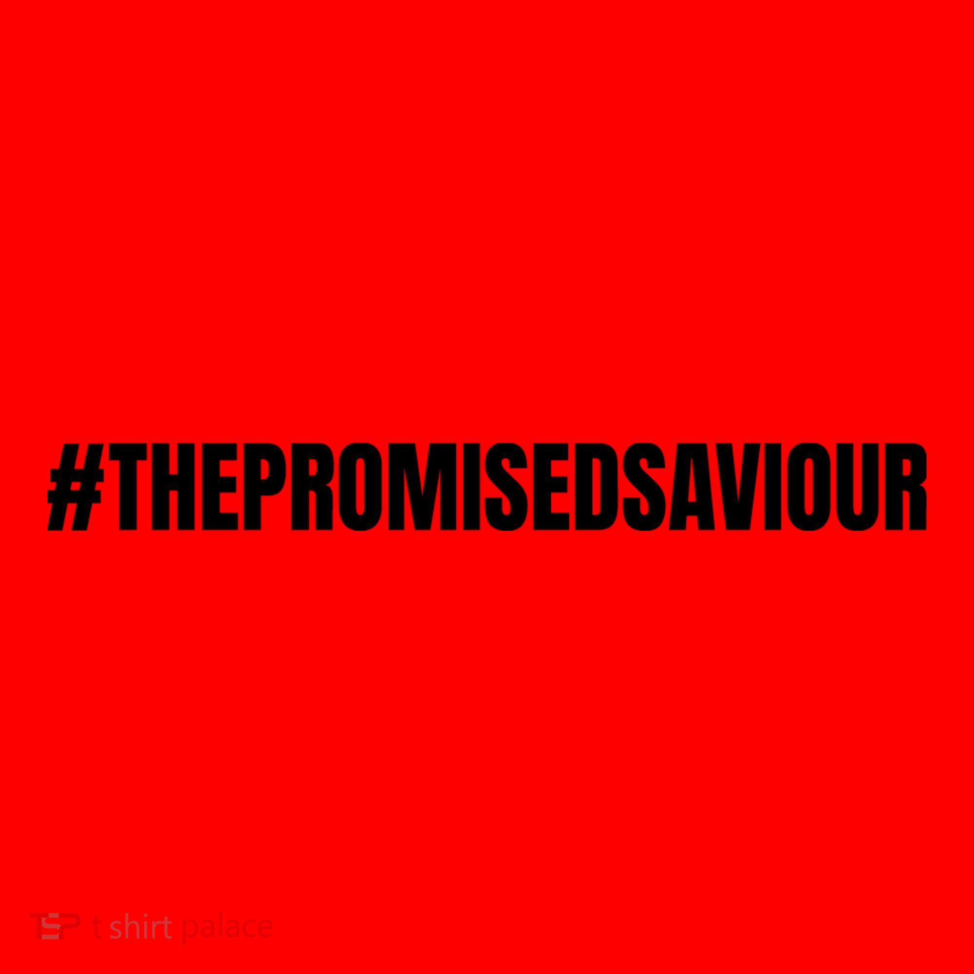 The Promised Saviour #Thepromisedsaviour Jesus Pray Peace Love Santa Hat