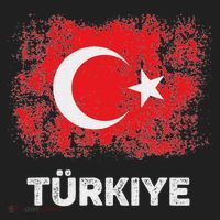 Turkish Patriot Turkiye Republic Day Turkish Flag Women's Sweatshirt thumb 2