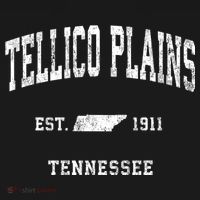 Tellico Plains Tennessee Tn Vintage Athletic Sports T-Shirt thumb 7
