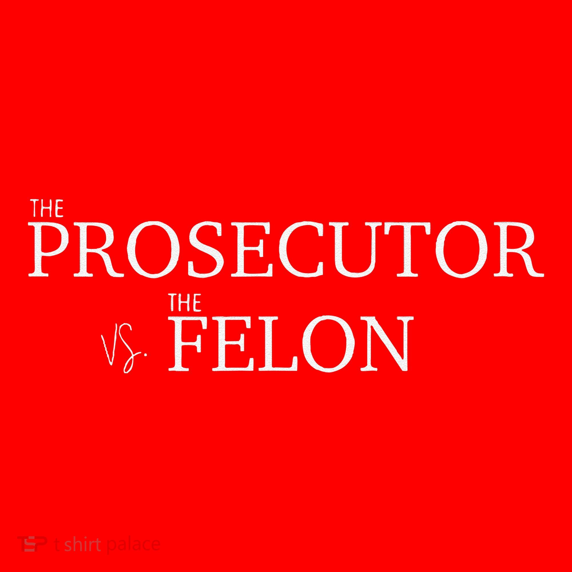 The Prosecutor Vs. The Felon Santa Hat