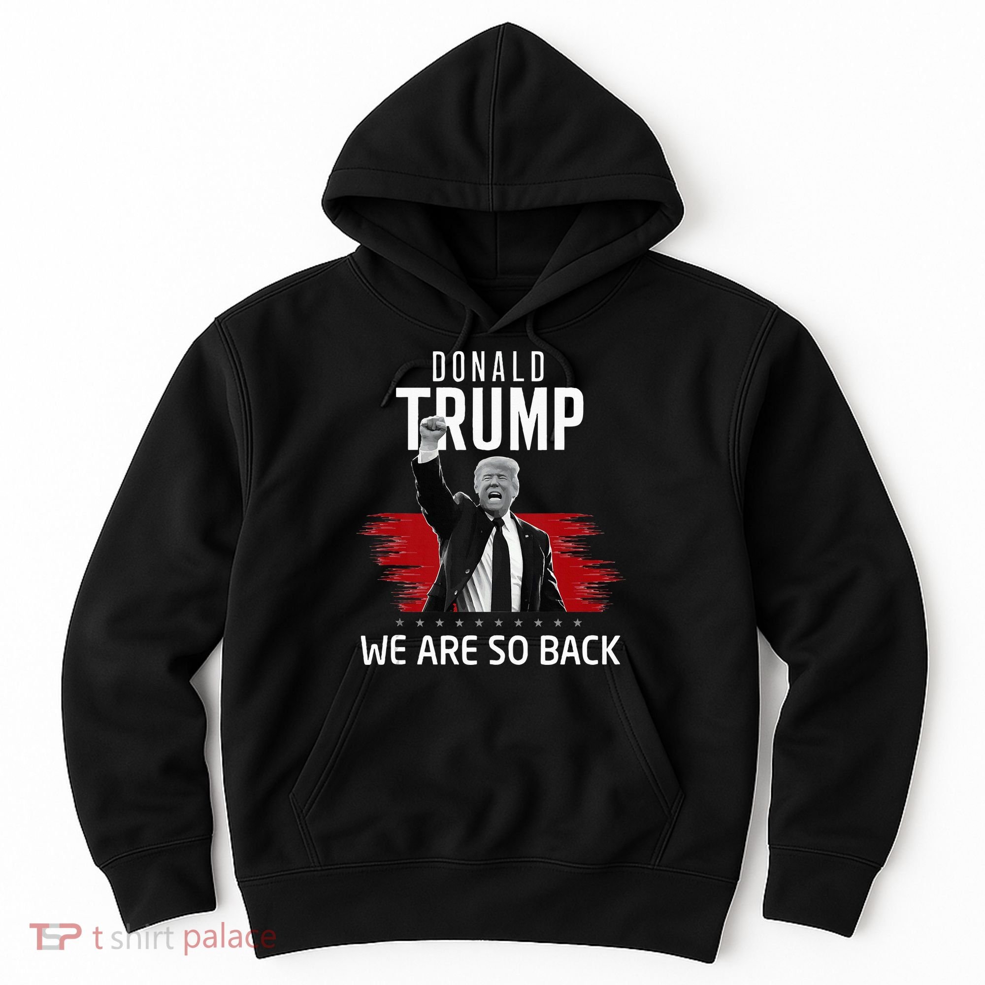 Trump President Victory We Are So Back Hoodie