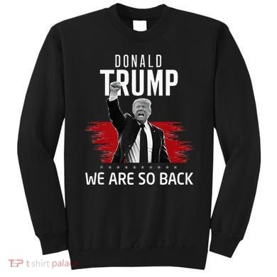 Trump President Victory We Are So Back Sweatshirt