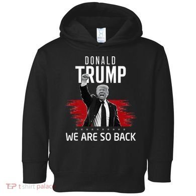 Trump President Victory We Are So Back Toddler Hoodie