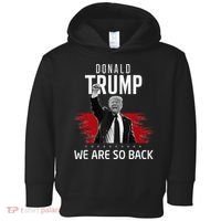 Trump President Victory We Are So Back Toddler Hoodie thumb 0