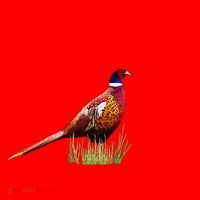 The Pheasant Whisperer Cool Gift Santa Hat thumb 1