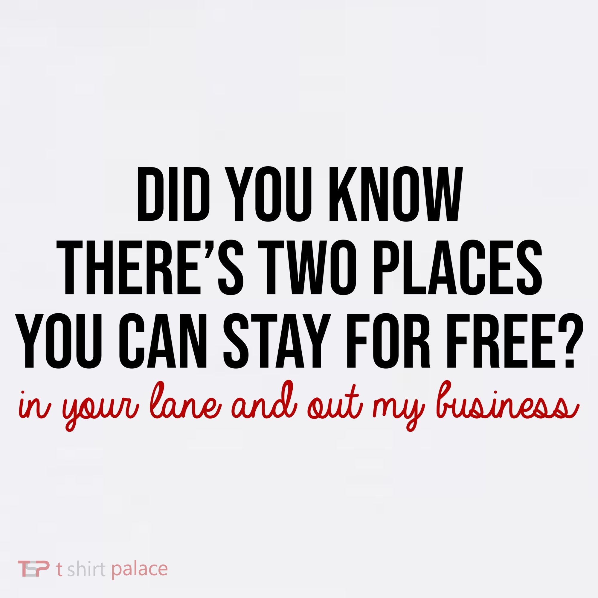 Two Places You Can Stay For Free In Your Lane And Out My Business T-Shirt
