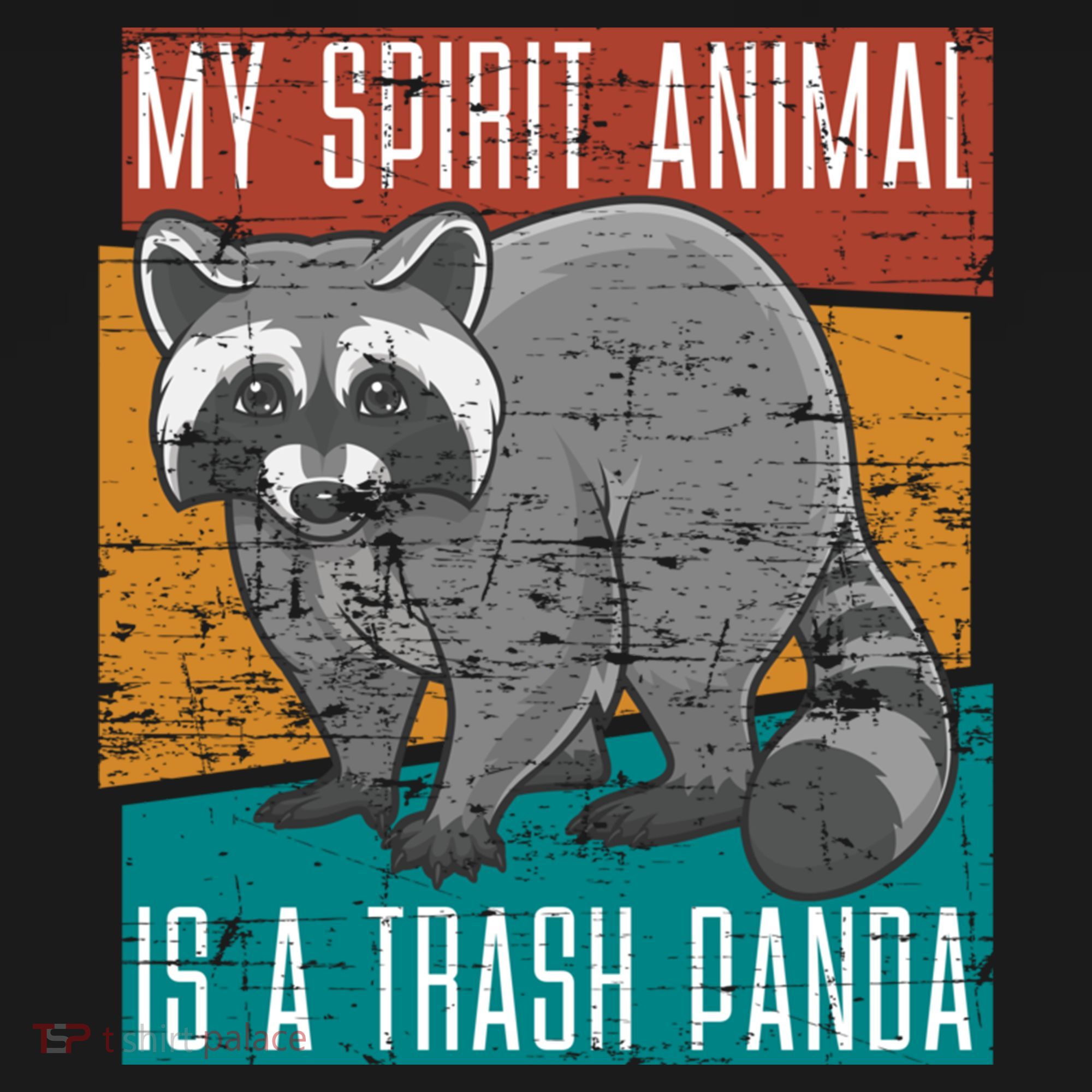 Trash Panda Zoo Keeper Gift Spirit Animal Racoon Cool Gift Women's Hoodie