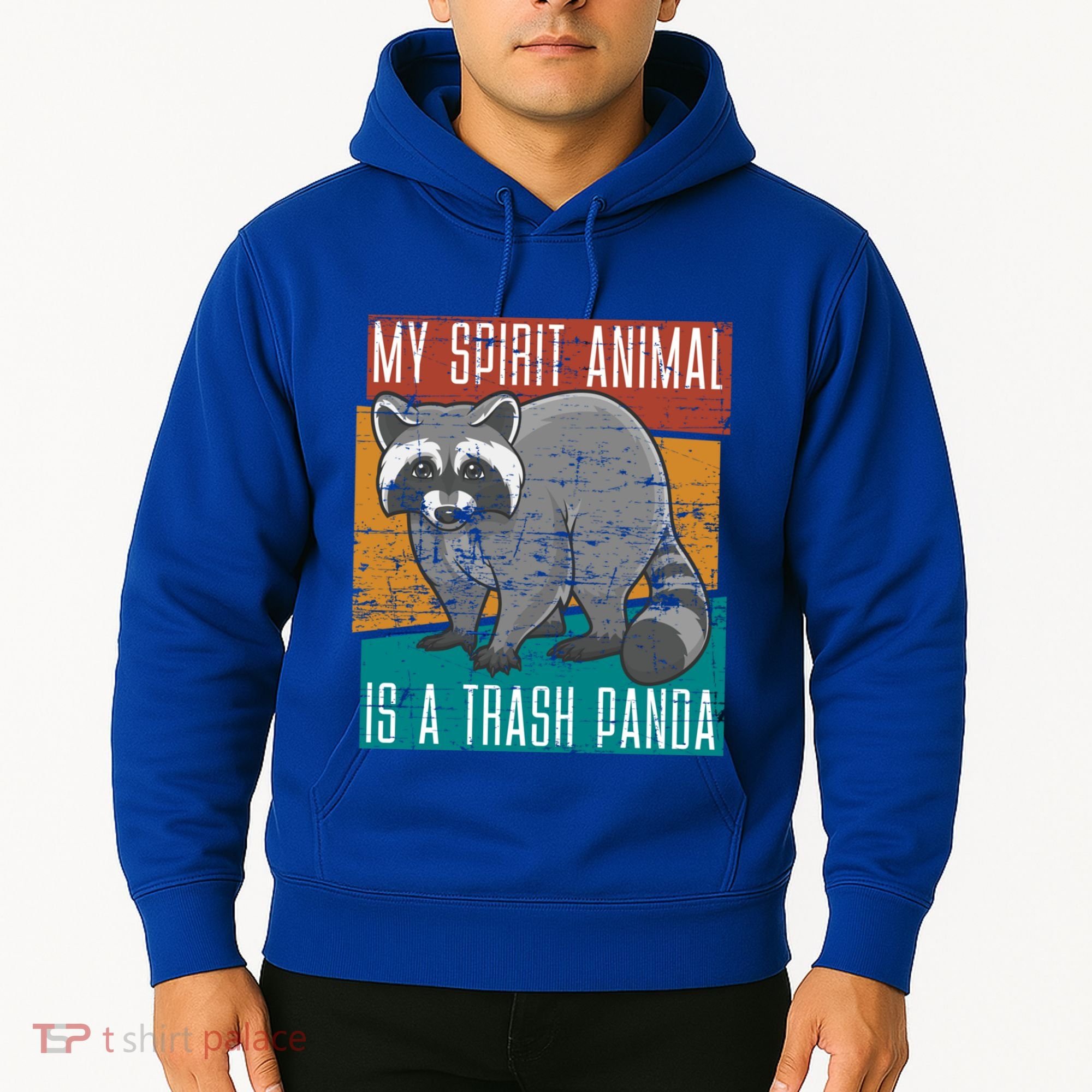 Trash Panda Zoo Keeper Gift Spirit Animal Racoon Cool Gift Hoodie
