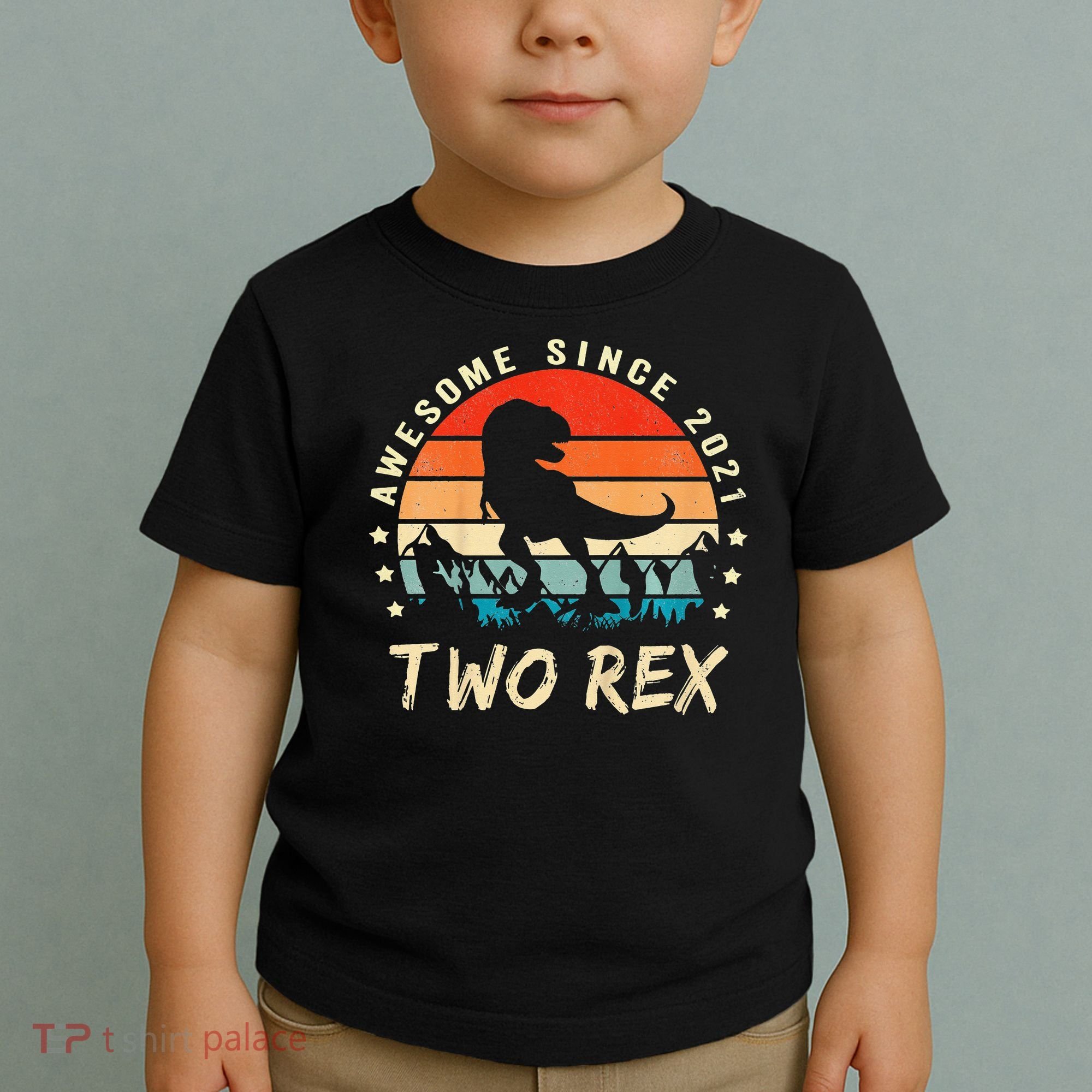 Two Rex 2nd Birthday Gift Second Dinosaur 2 Year Old Toddler T-Shirt