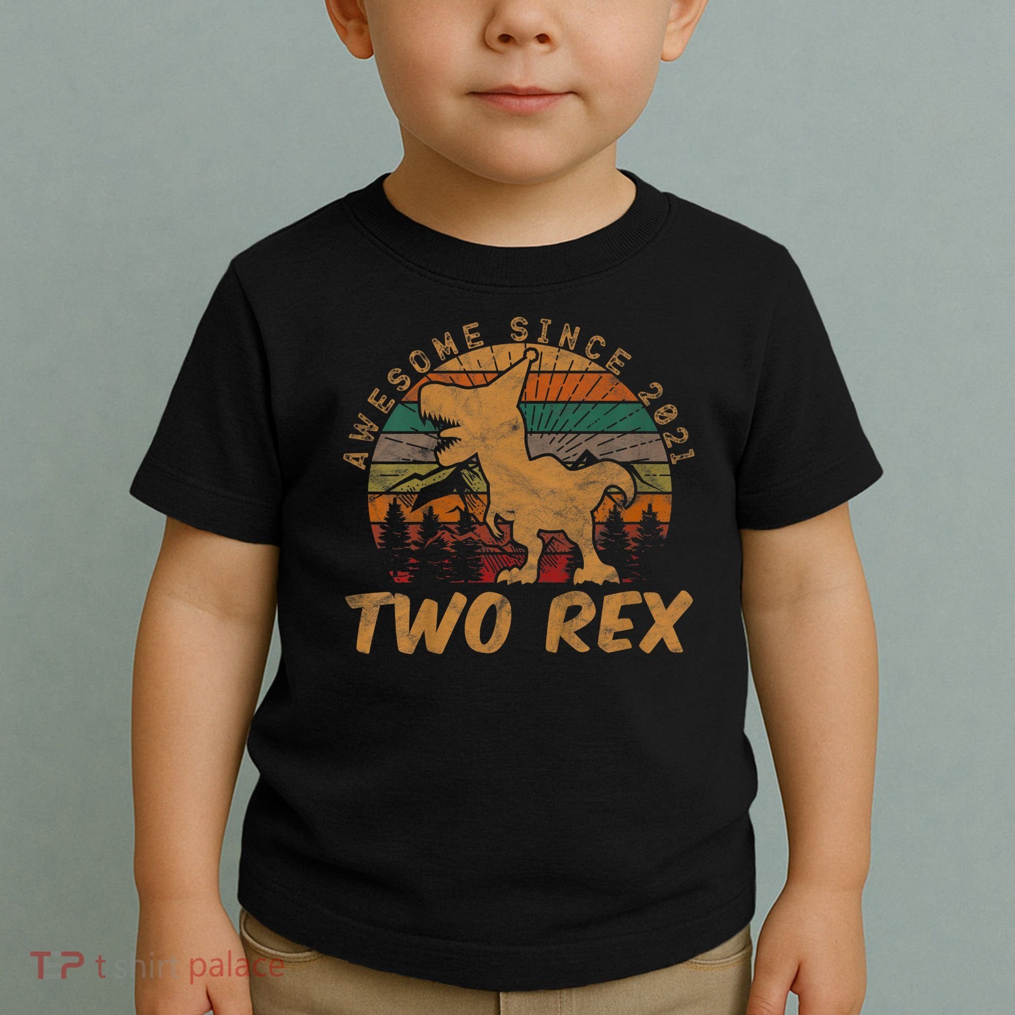 Two Rex 2nd Birthday Gifts Second Dinosaur 2 Year Old Toddler T-Shirt