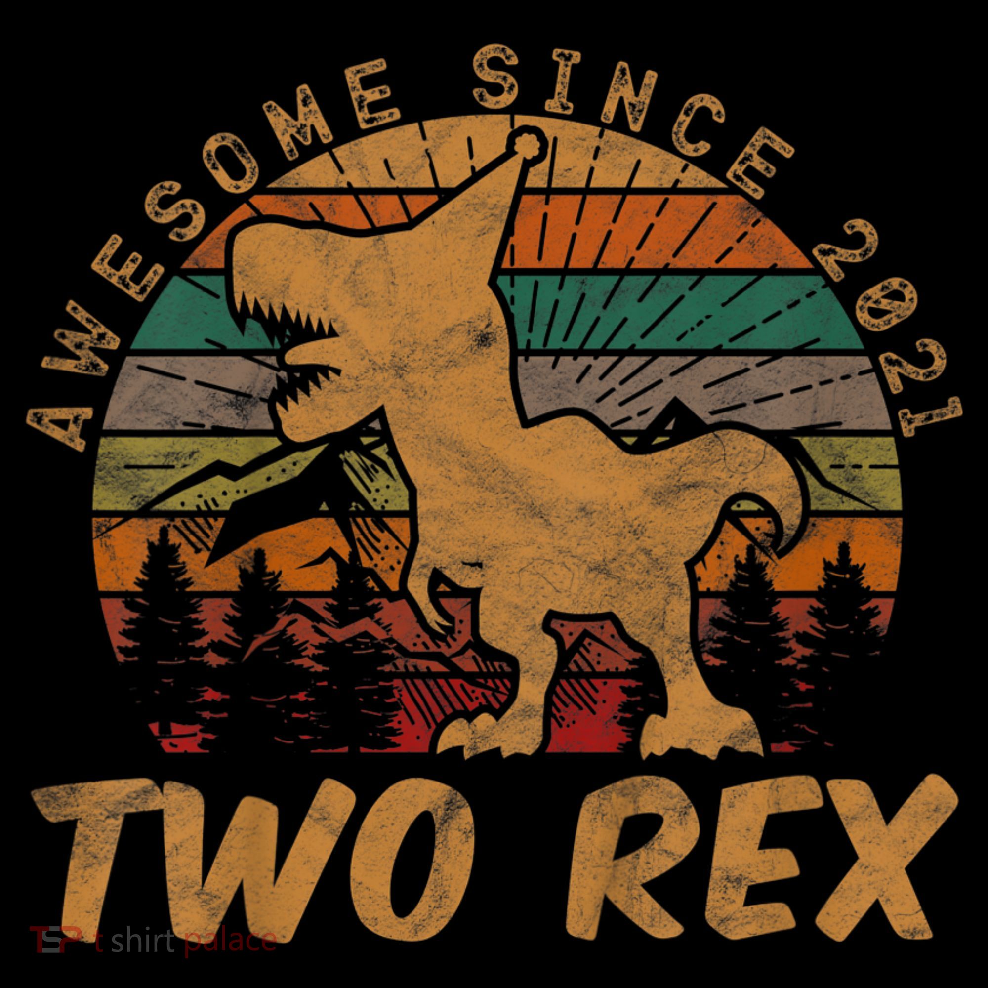 Two Rex 2nd Birthday Gifts Second Dinosaur 2 Year Old Kids Hoodie