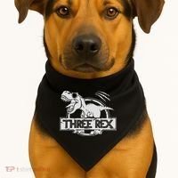 Three Rex 3rd Birthday Dinosaur Matching Family USA-Made Doggie Bandana thumb 1