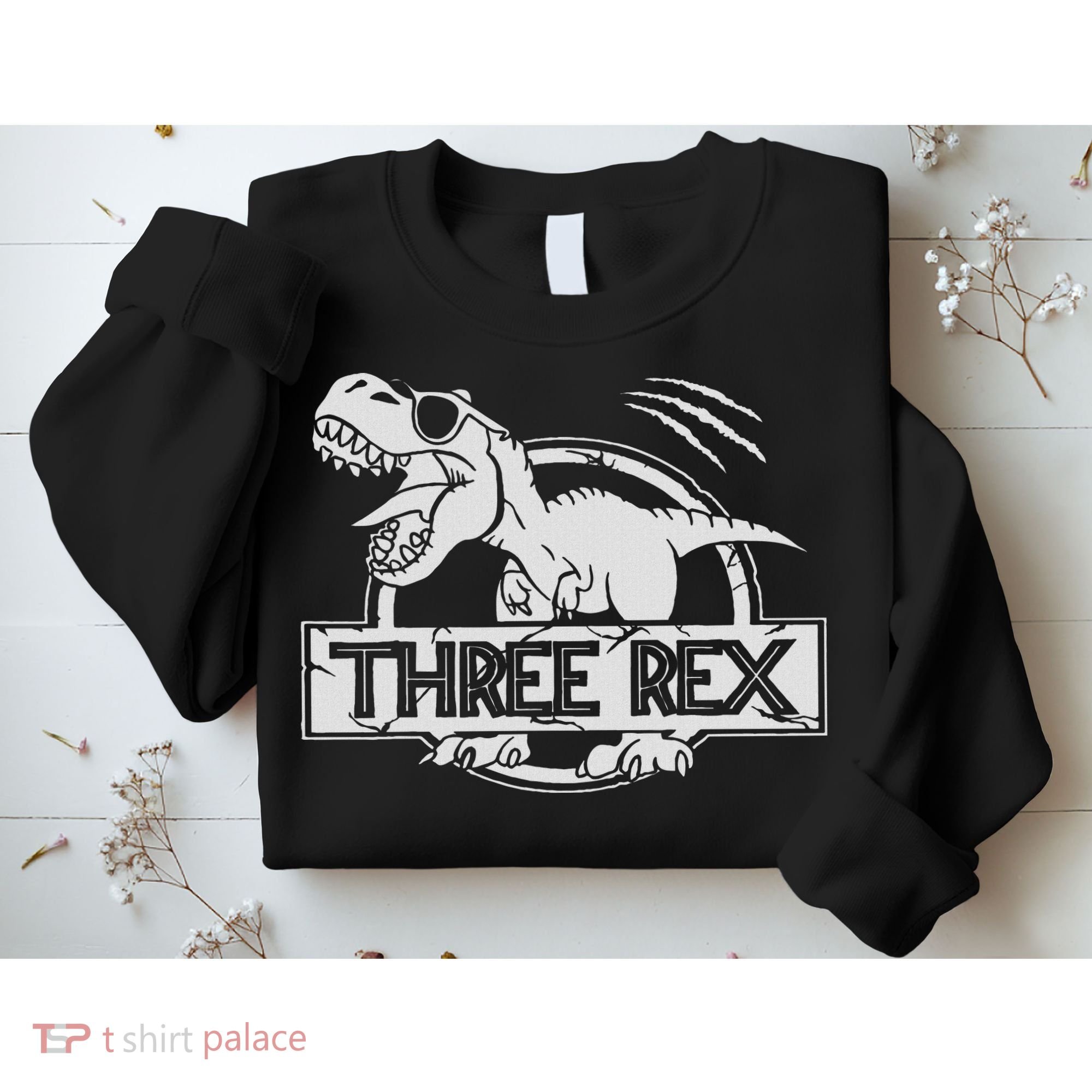 Three Rex 3rd Birthday Dinosaur Matching Family Sweatshirt