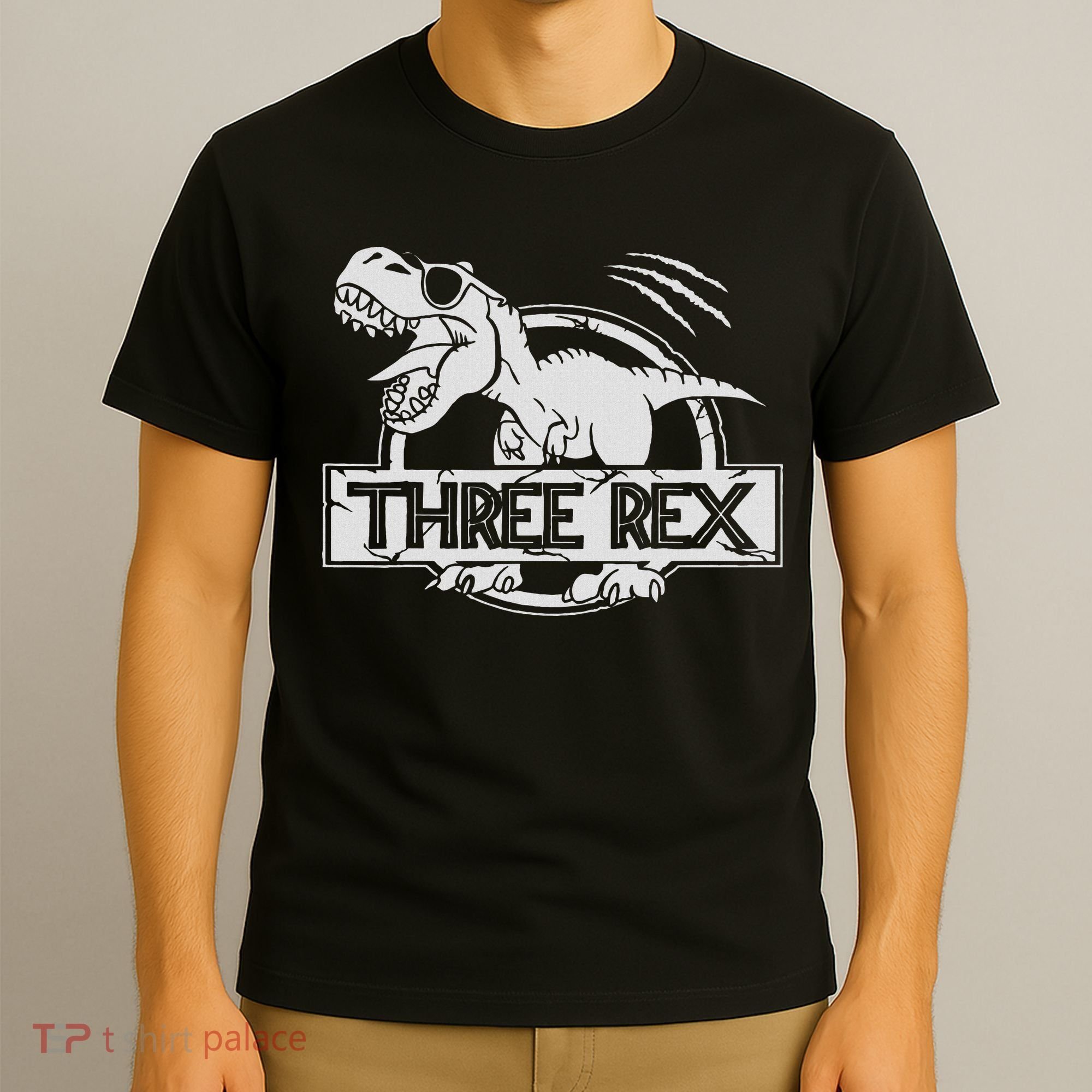 Three Rex 3rd Birthday Dinosaur Matching Family T-Shirt