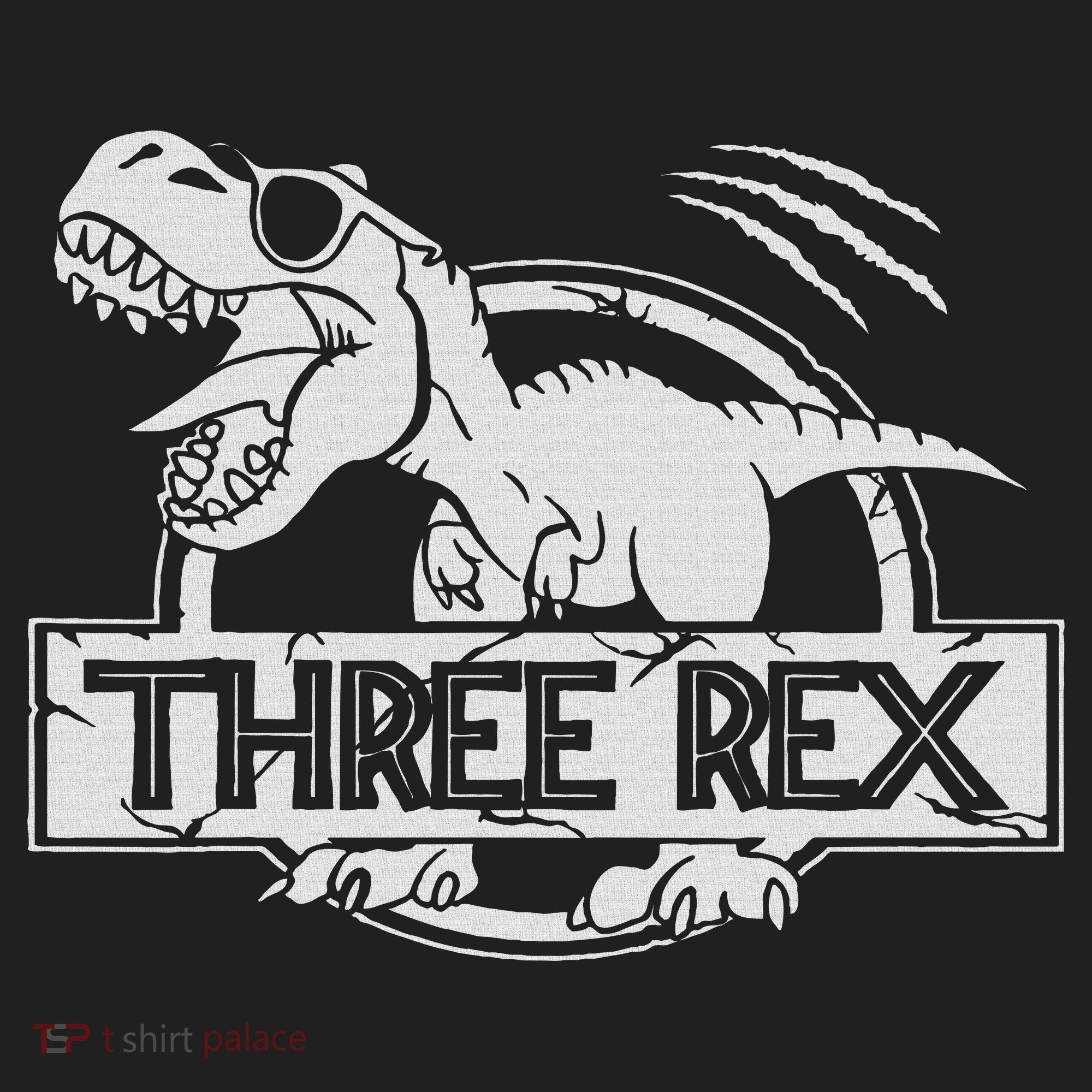 Three Rex 3rd Birthday Dinosaur Matching Family Beanie