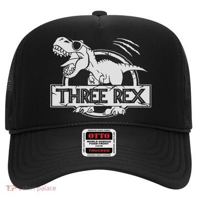 Three Rex 3rd Birthday Dinosaur Matching Family Hat