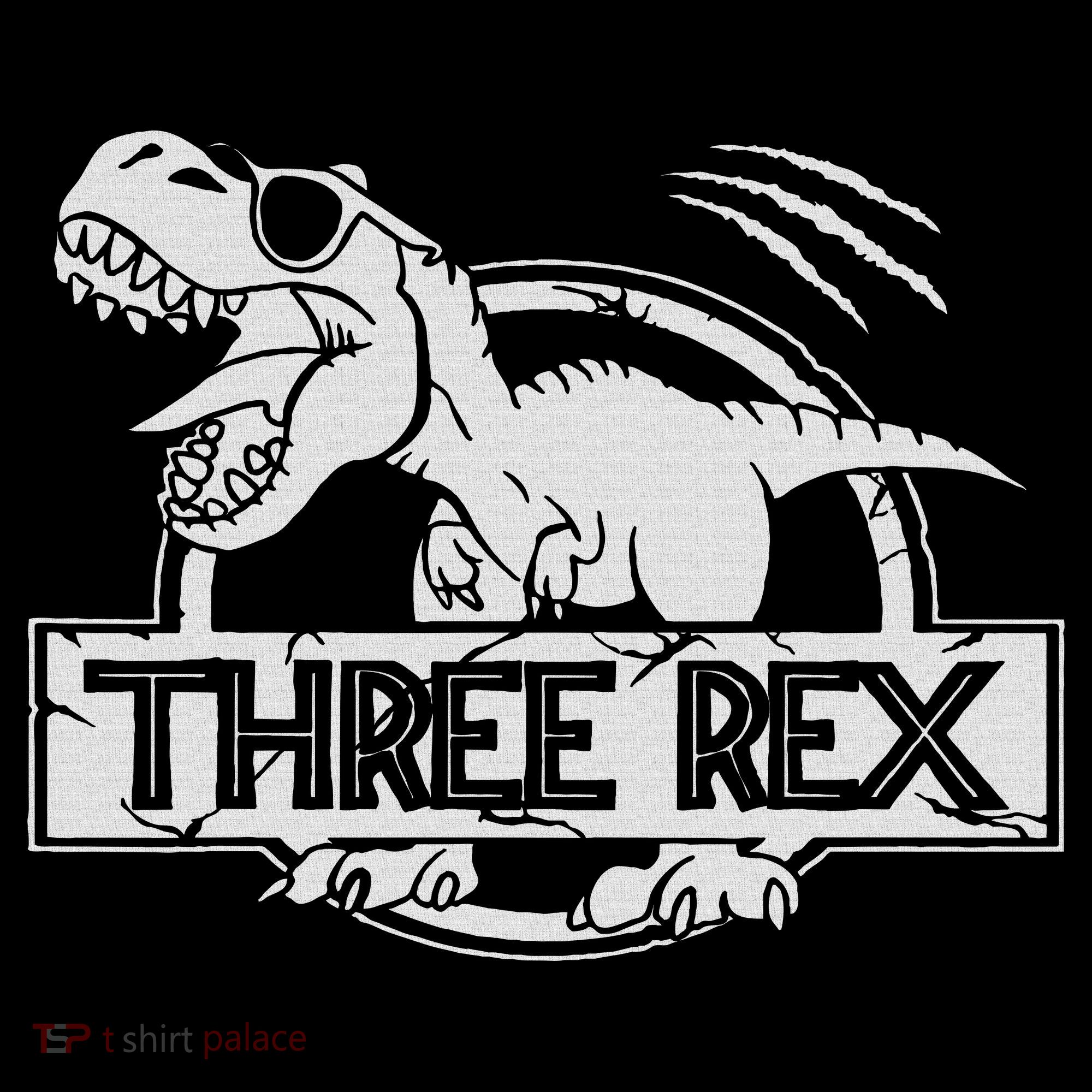 Three Rex 3rd Birthday Dinosaur Matching Family Women's T-Shirt
