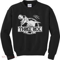 Three Rex 3rd Birthday Dinosaur Matching Family Kids Sweatshirt thumb 0