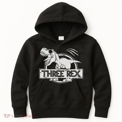 Three Rex 3rd Birthday Dinosaur Matching Family Kids Hoodie