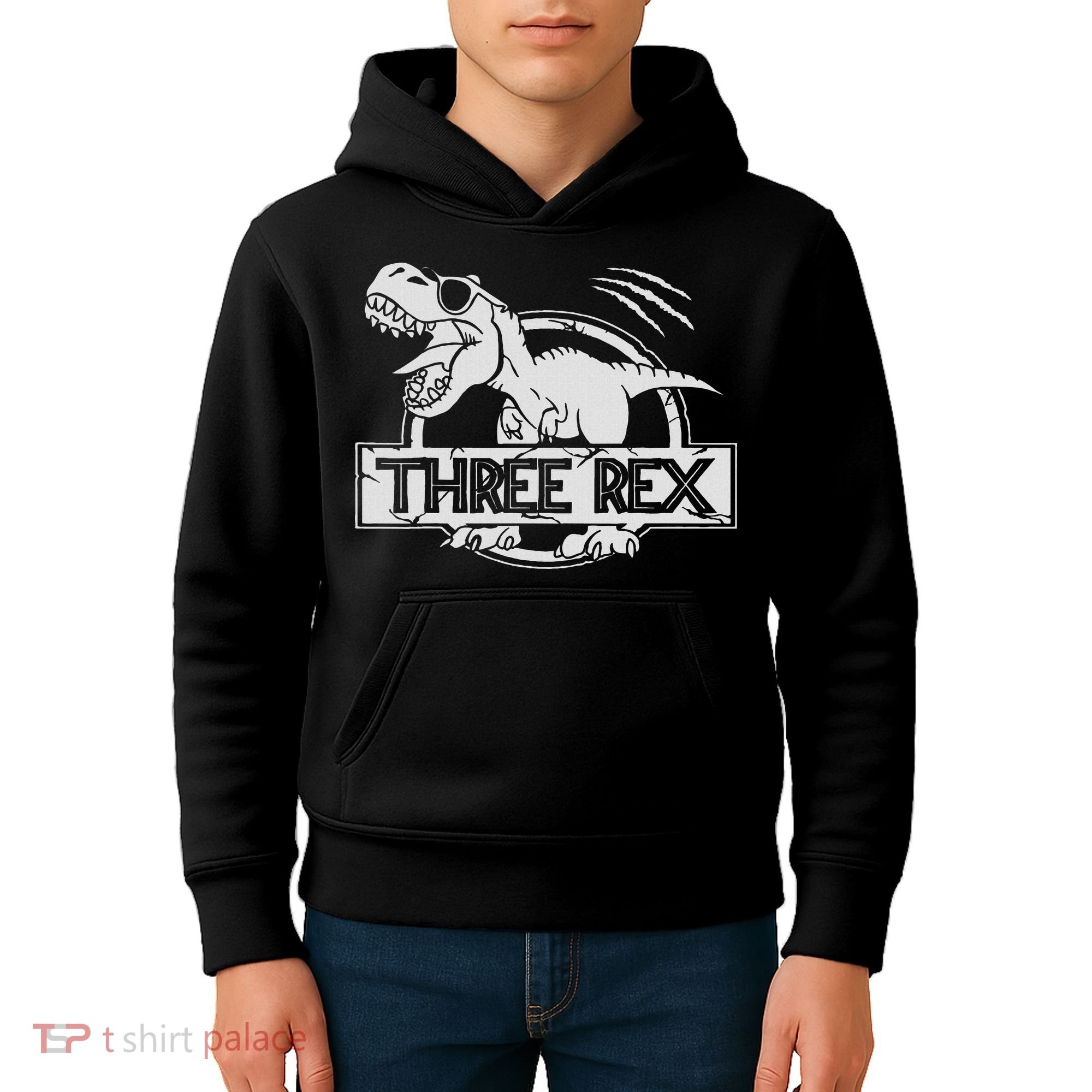 Three Rex 3rd Birthday Dinosaur Matching Family Kids Hoodie