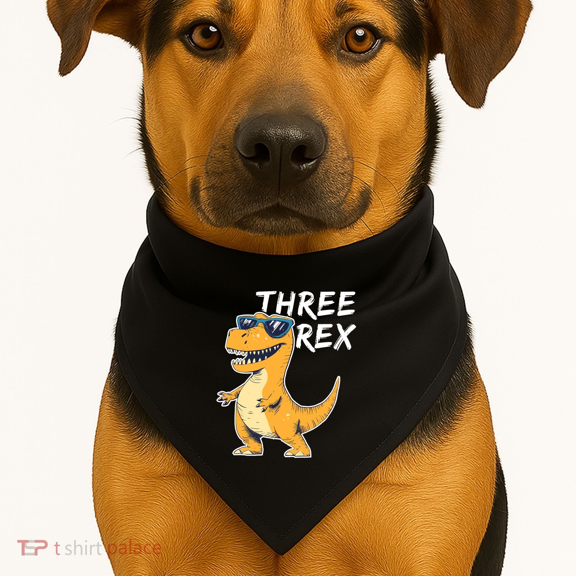 Three Rex 3rd Birthday Gifts Third Dinosaur Boy 3 Years Old USA-Made Doggie Bandana