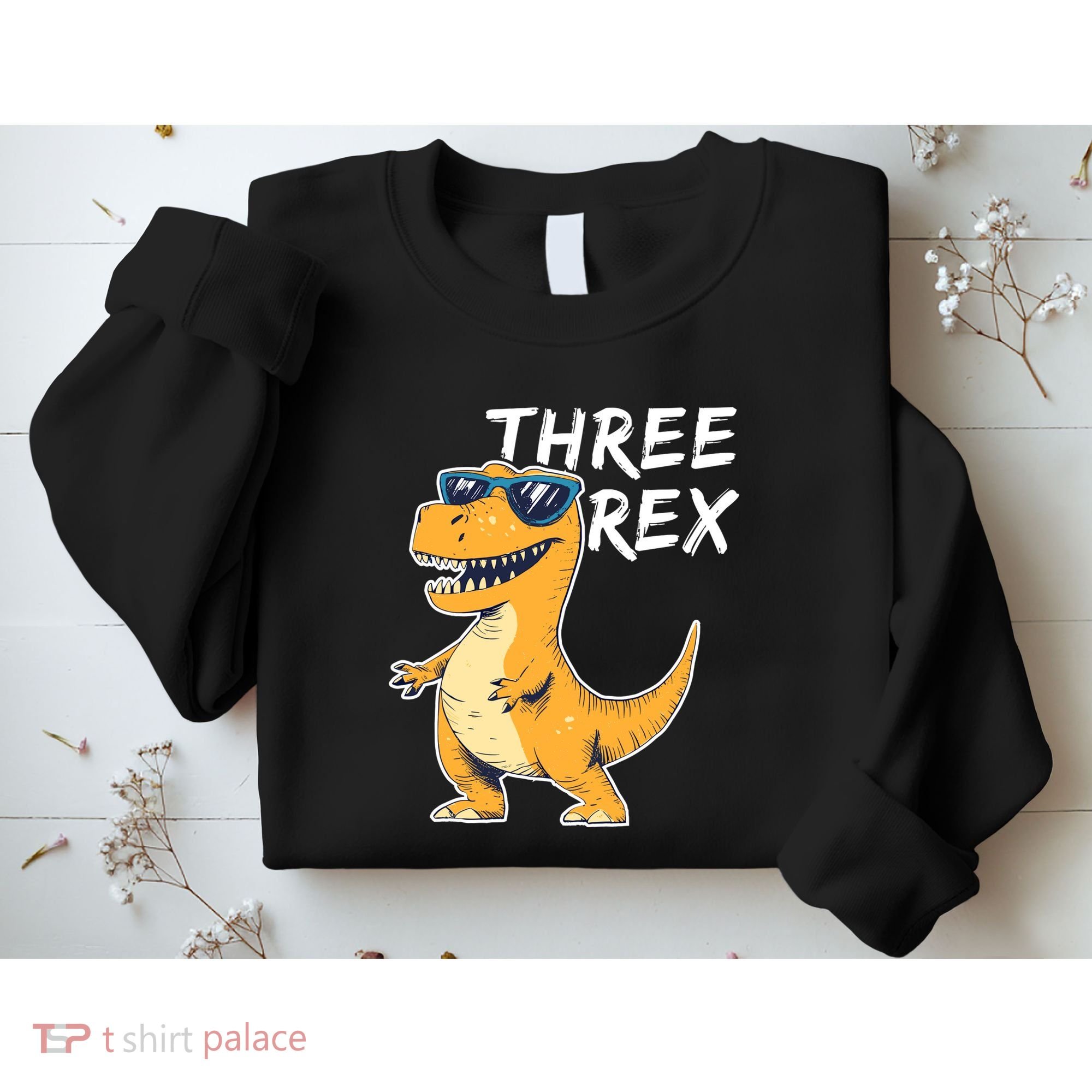 Three Rex 3rd Birthday Gifts Third Dinosaur Boy 3 Years Old Sweatshirt