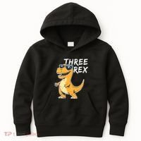 Three Rex 3rd Birthday Gifts Third Dinosaur Boy 3 Years Old Kids Hoodie thumb 0
