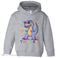 Three Rex 3rd Birthday Gifts Third Dinosaur Boy 3 Years Old Toddler Hoodie thumb 0
