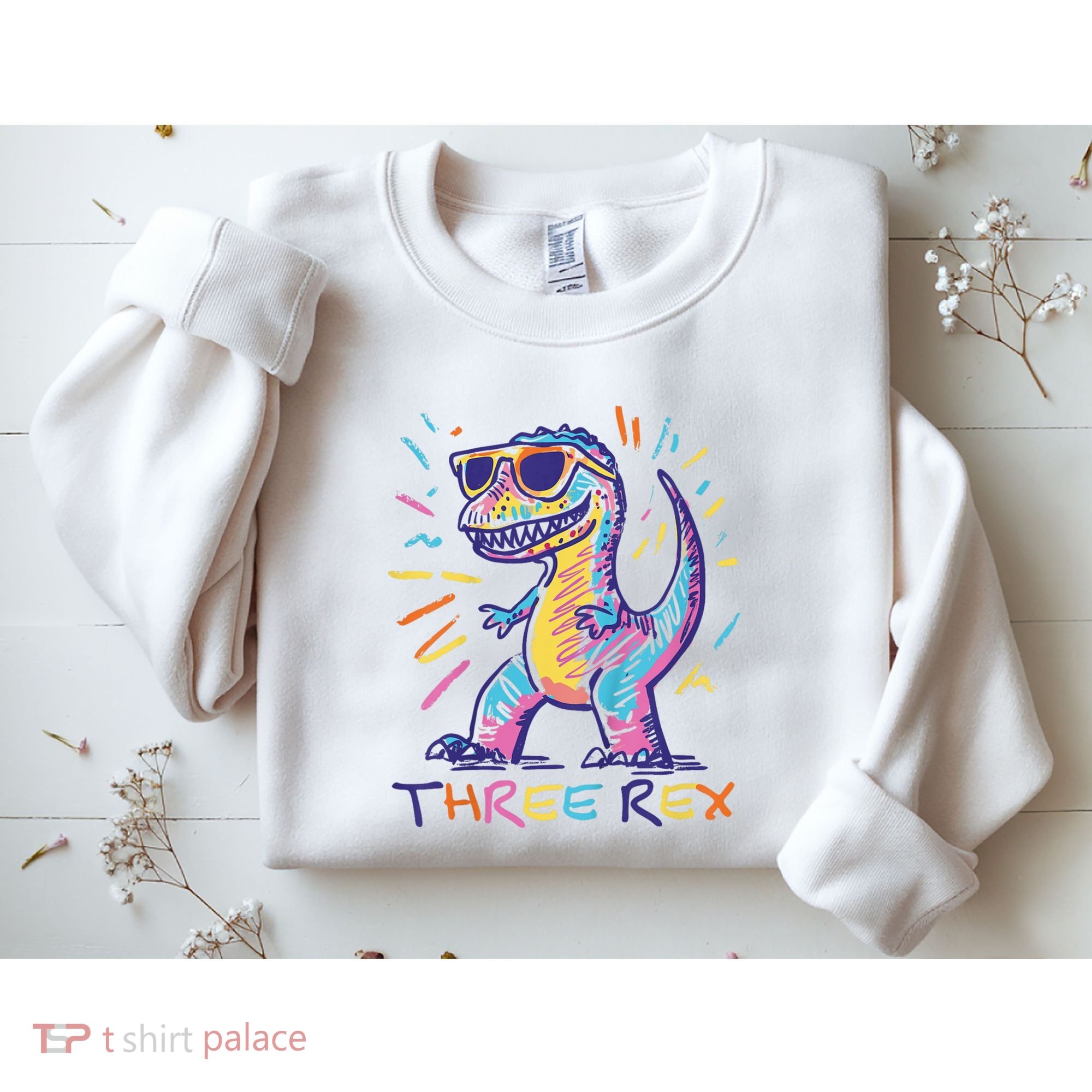 Three Rex 3rd Birthday Gifts Third Dinosaur Boy 3 Years Old Sweatshirt
