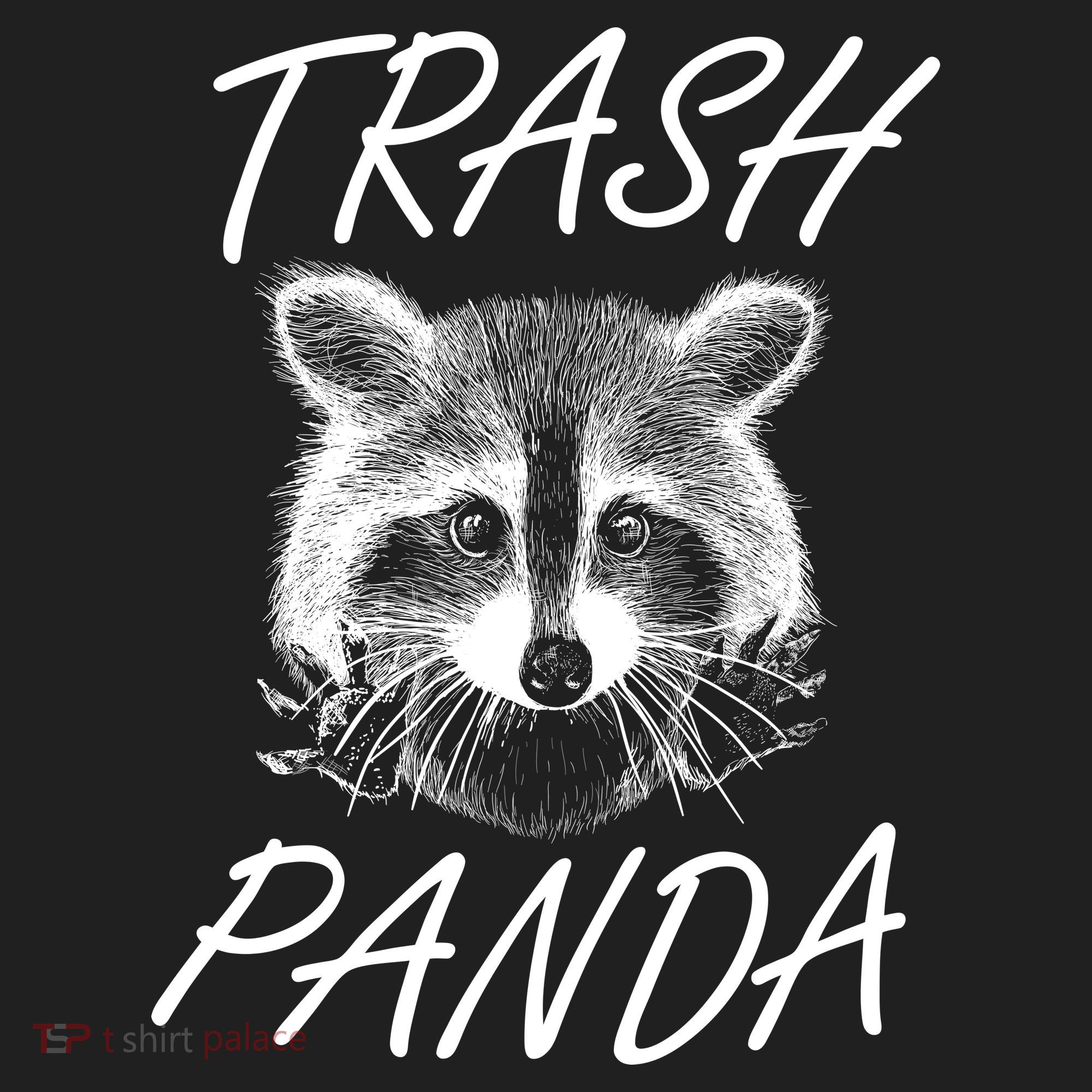 Trash Panda Funny Raccoon Beanie