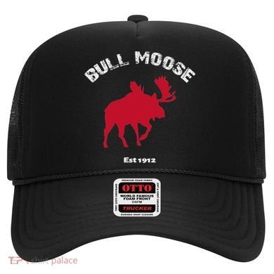 Theodore Roosevelt Bull Moose Party Hat