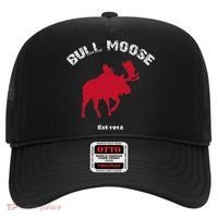 Theodore Roosevelt Bull Moose Party Hat thumb 0