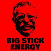 Teddy Roosevelt Big Stick Theodore President Santa Hat thumb 1