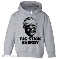 Teddy Roosevelt Big Stick Theodore President Toddler Hoodie thumb 0