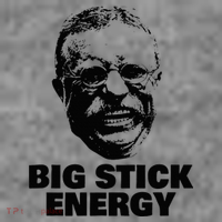 Teddy Roosevelt Big Stick Theodore President Toddler Hoodie thumb 2