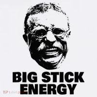 Teddy Roosevelt Big Stick Theodore President Ornament thumb 1