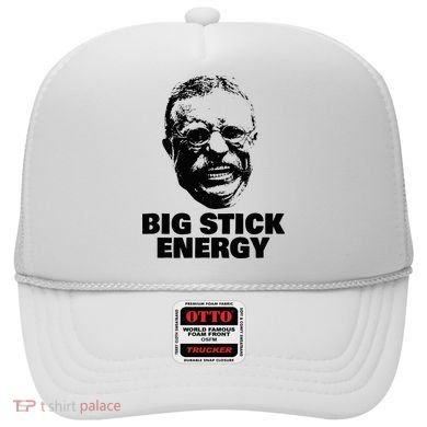 Teddy Roosevelt Big Stick Theodore President Hat