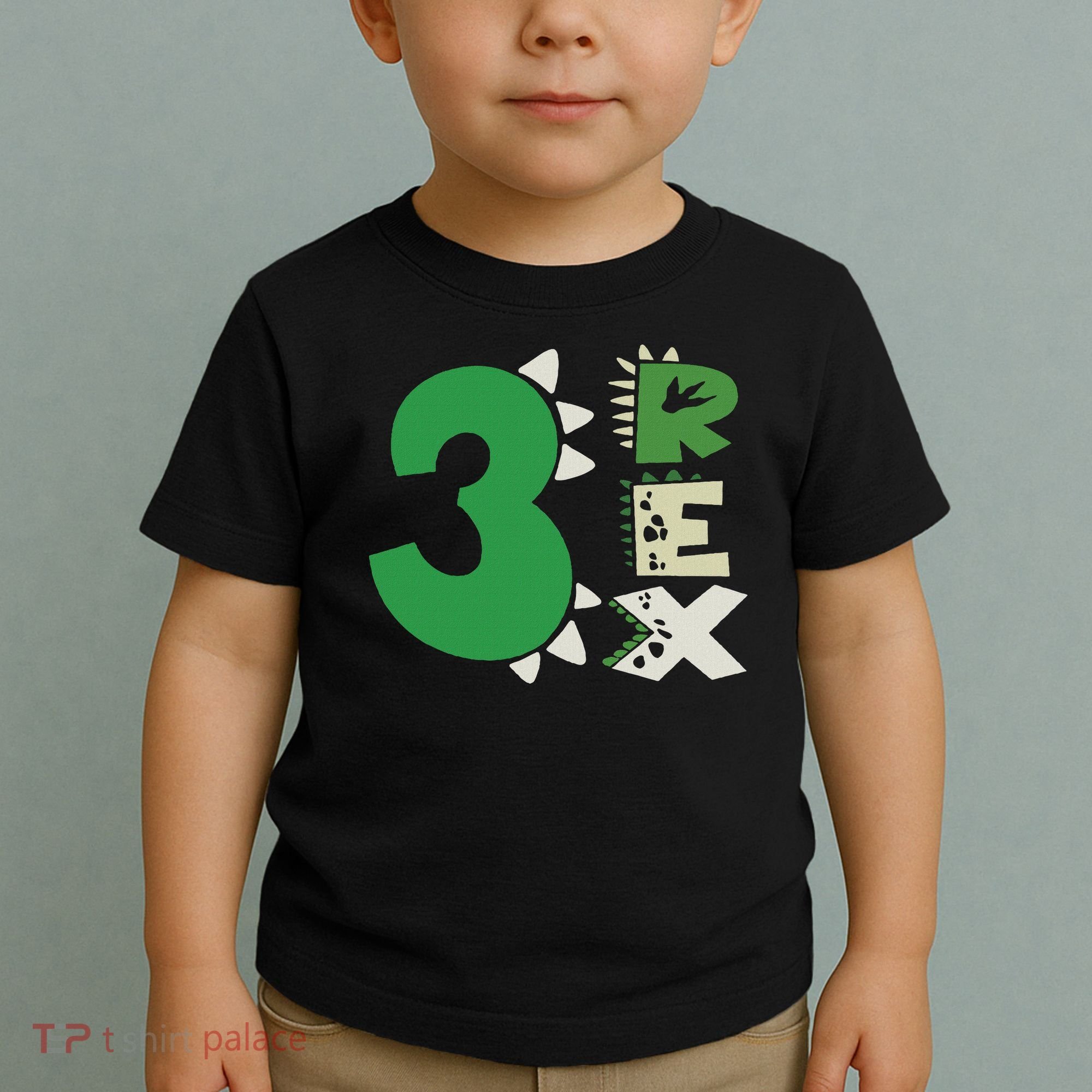 Three Rex Birthday Boy 3rd Dinosaur Birthday Rex Birthday Toddler T-Shirt