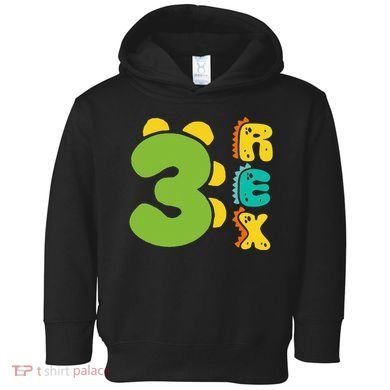 Three Rex Birthday  3rd Dinosaur Birthday Family Toddler Hoodie