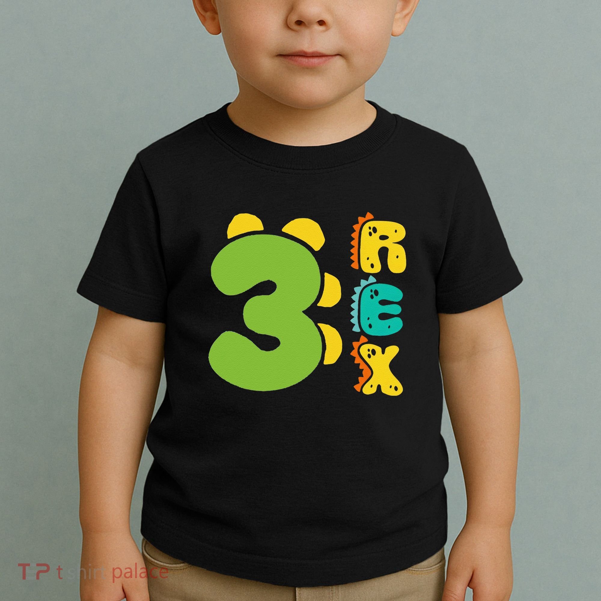 Three Rex Birthday  3rd Dinosaur Birthday Family Toddler T-Shirt