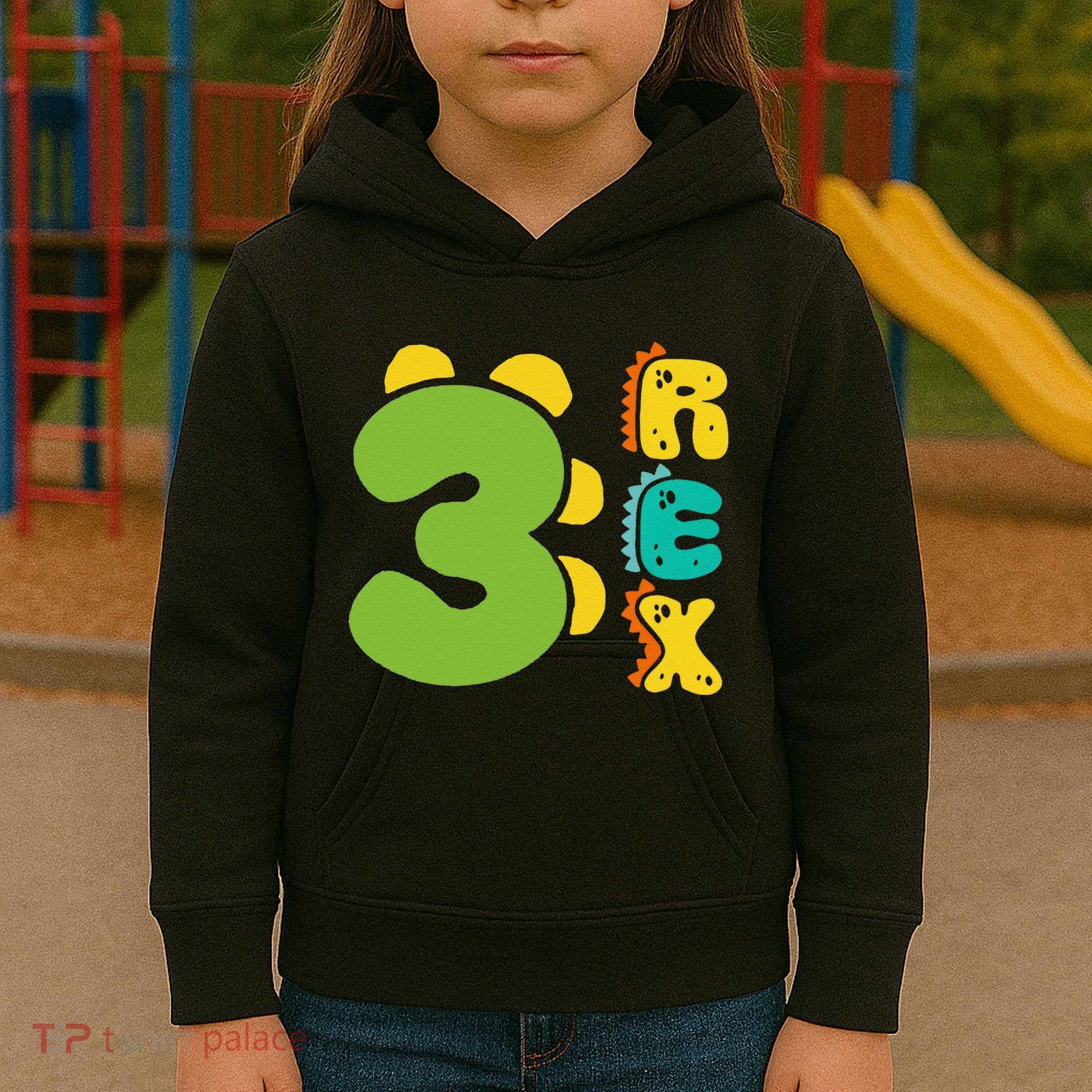 Three Rex Birthday  3rd Dinosaur Birthday Family Kids Hoodie