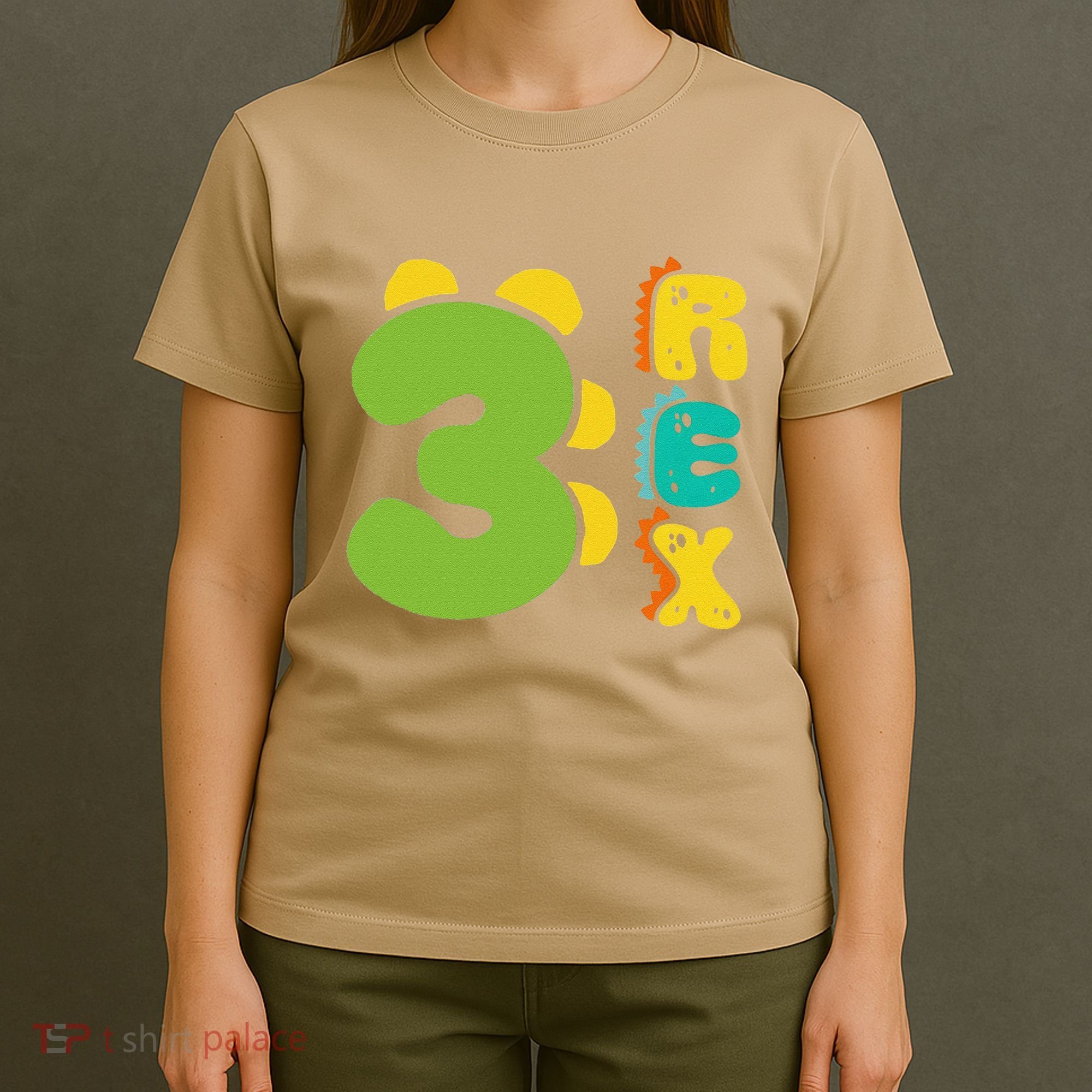 Three Rex Birthday  3rd Dinosaur Birthday Family T-Shirt