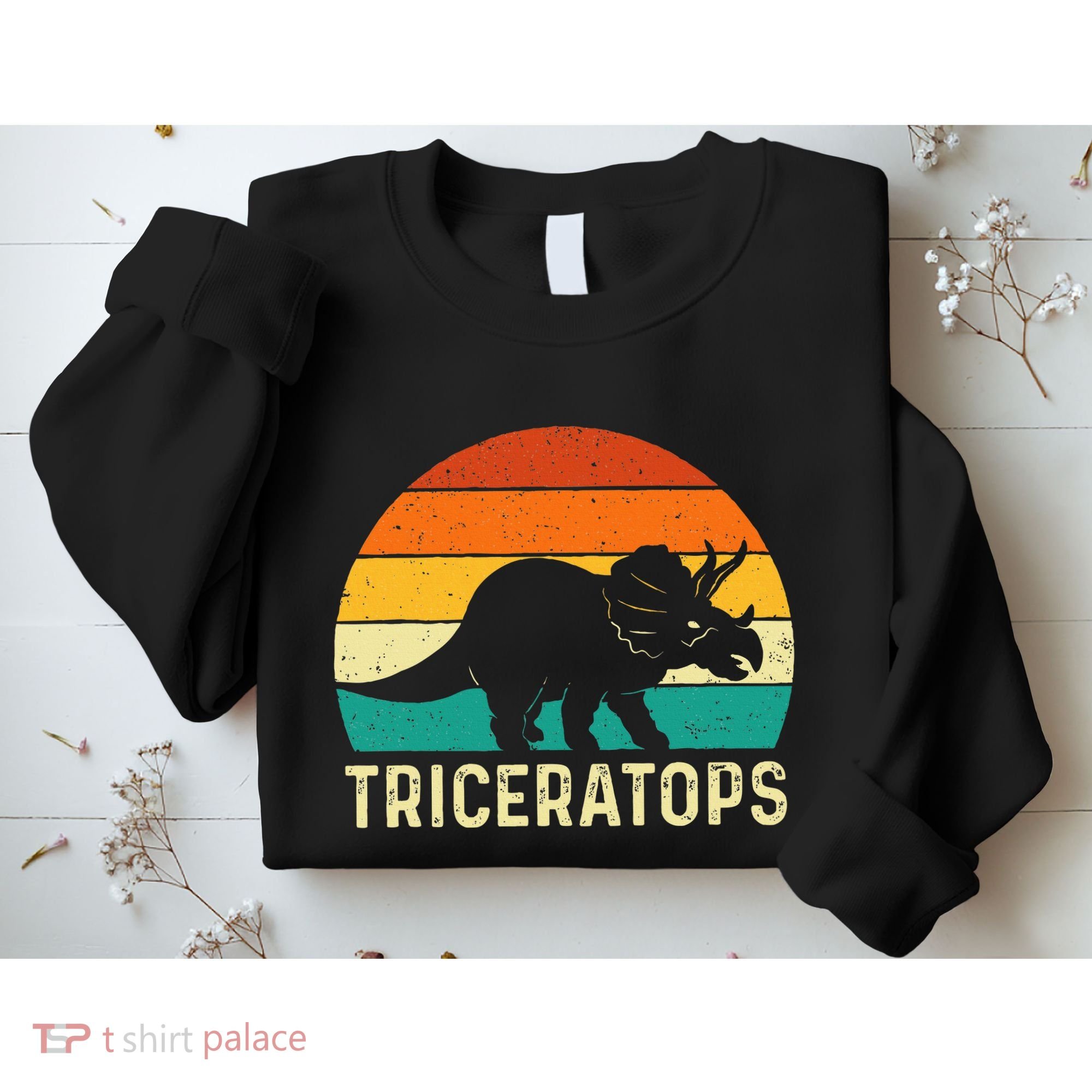 Triceratops Retro Dinosaur Lover Paleontologist Sweatshirt