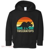 Triceratops Retro Dinosaur Lover Paleontologist Toddler Hoodie thumb 0