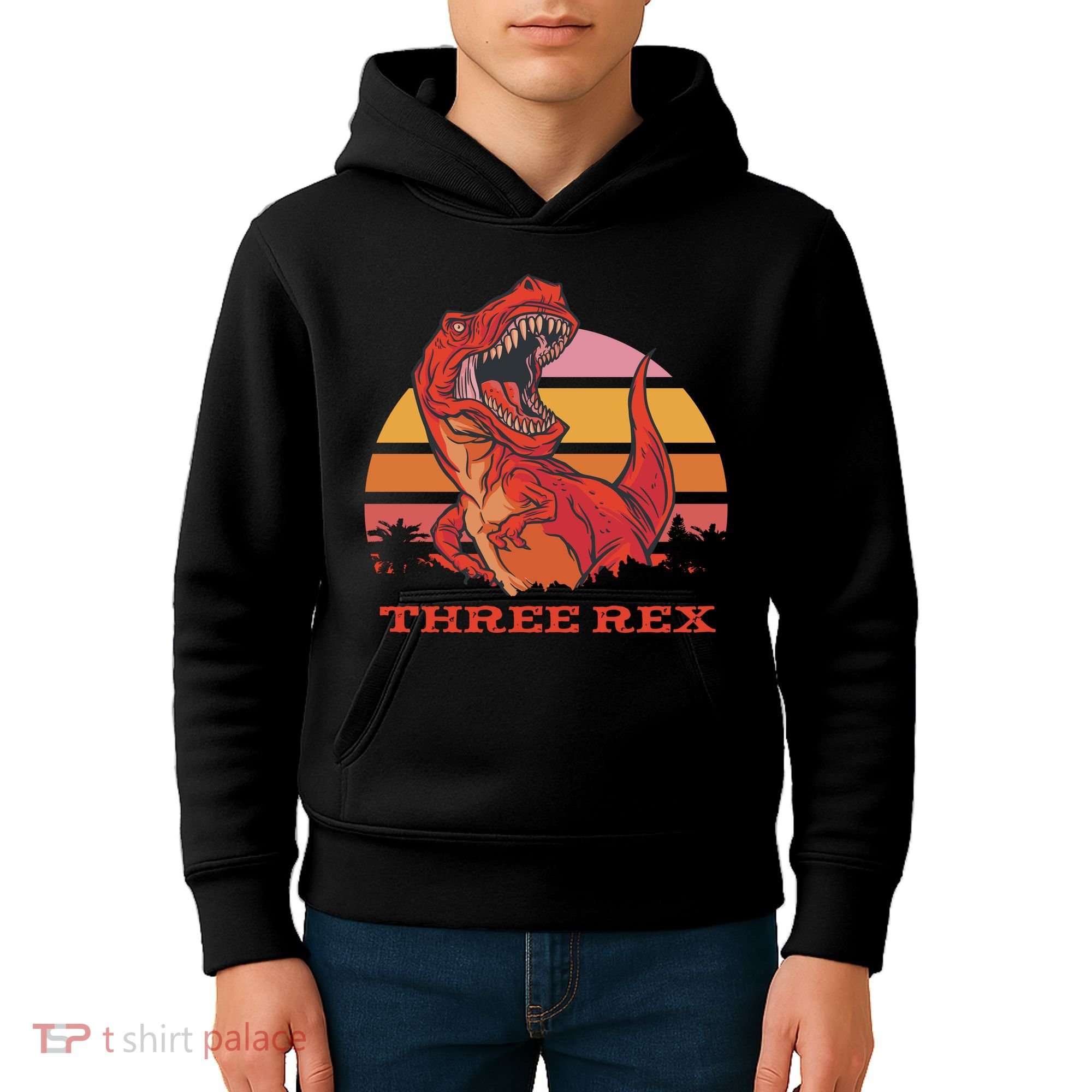 Three Rex Dinosaur Birthday Kids Hoodie
