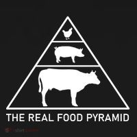 The Real Food Pyramid Beef Pork Chicken Coaster thumb 2