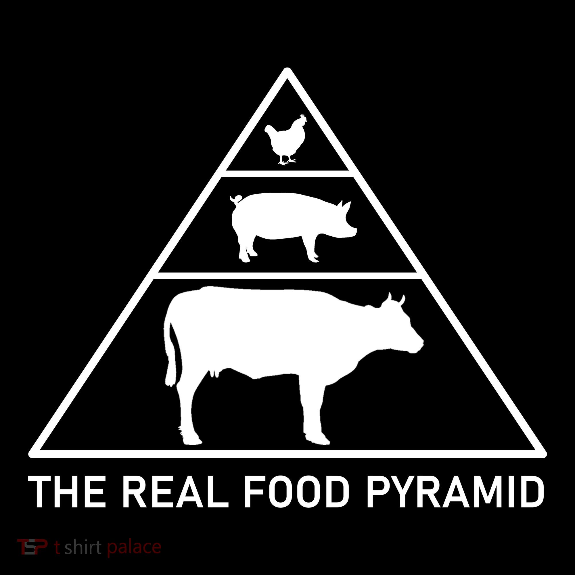 The Real Food Pyramid Beef Pork Chicken Coaster