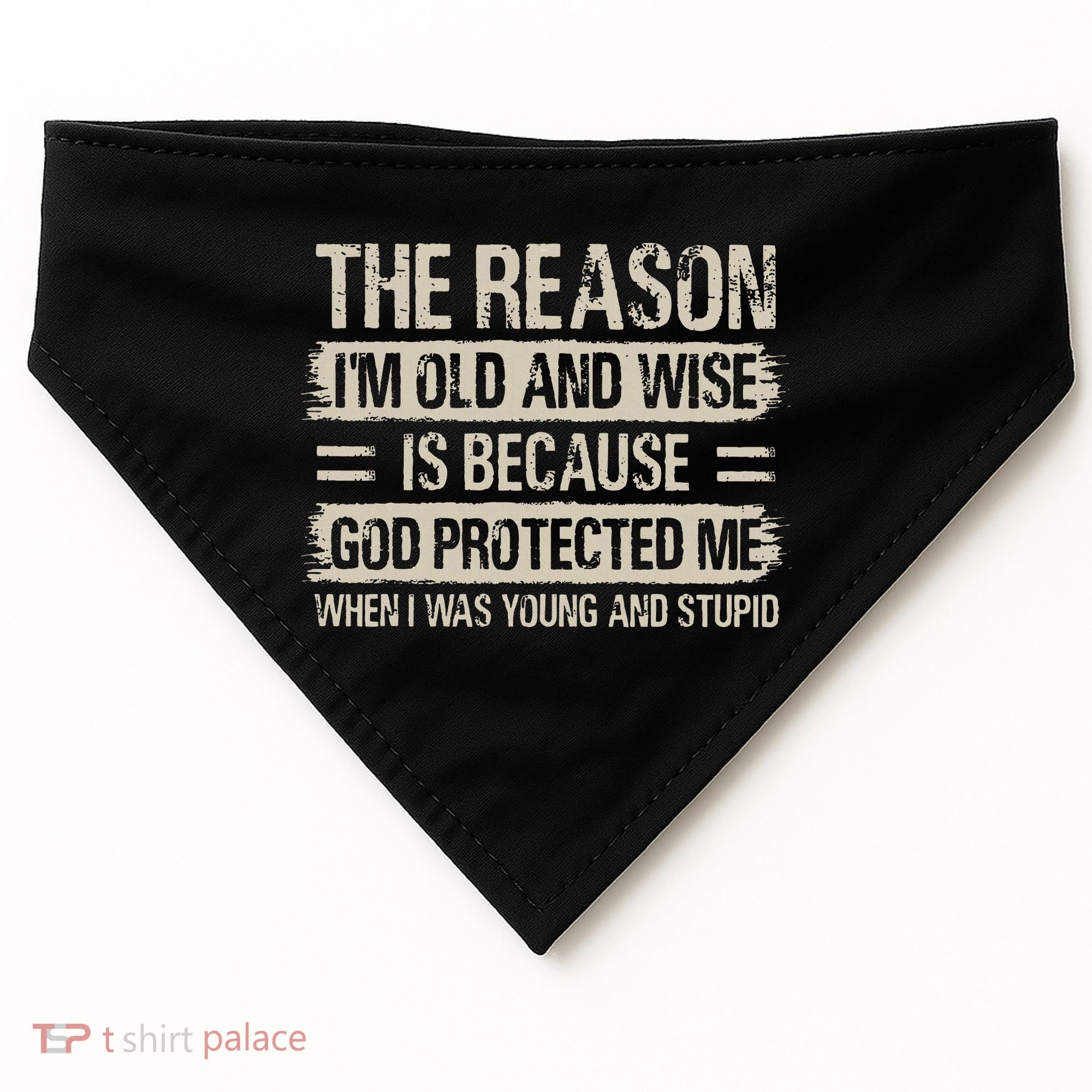 The Reason IM Old And Wise Inspirational Christian Faith USA-Made Doggie Bandana