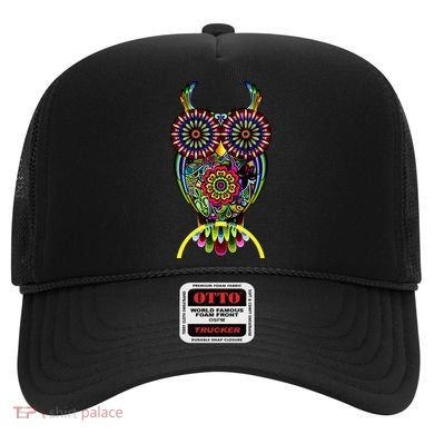 Trippy Big Eyed Owl Hat