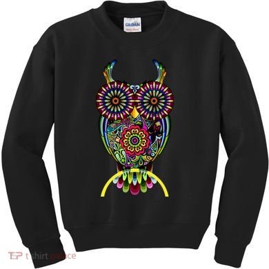 Trippy Big Eyed Owl Kids Sweatshirt